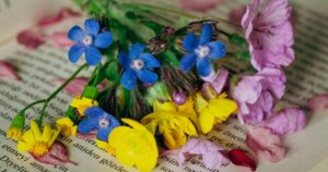 Wildflowers on book